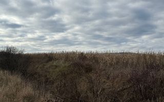 VAND TEREN 46 ARI | VOLOVAT | 47.000 EURO | - Poză 2