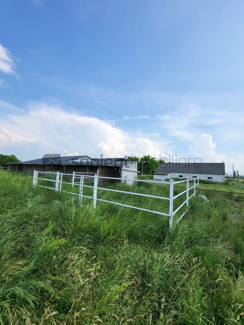 FERMA ZOOTEHNICA DE VANZARE - Poză 8