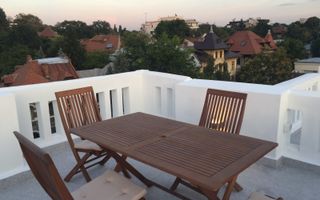 Vilacu curte individuala Kiseleff - Poză 8