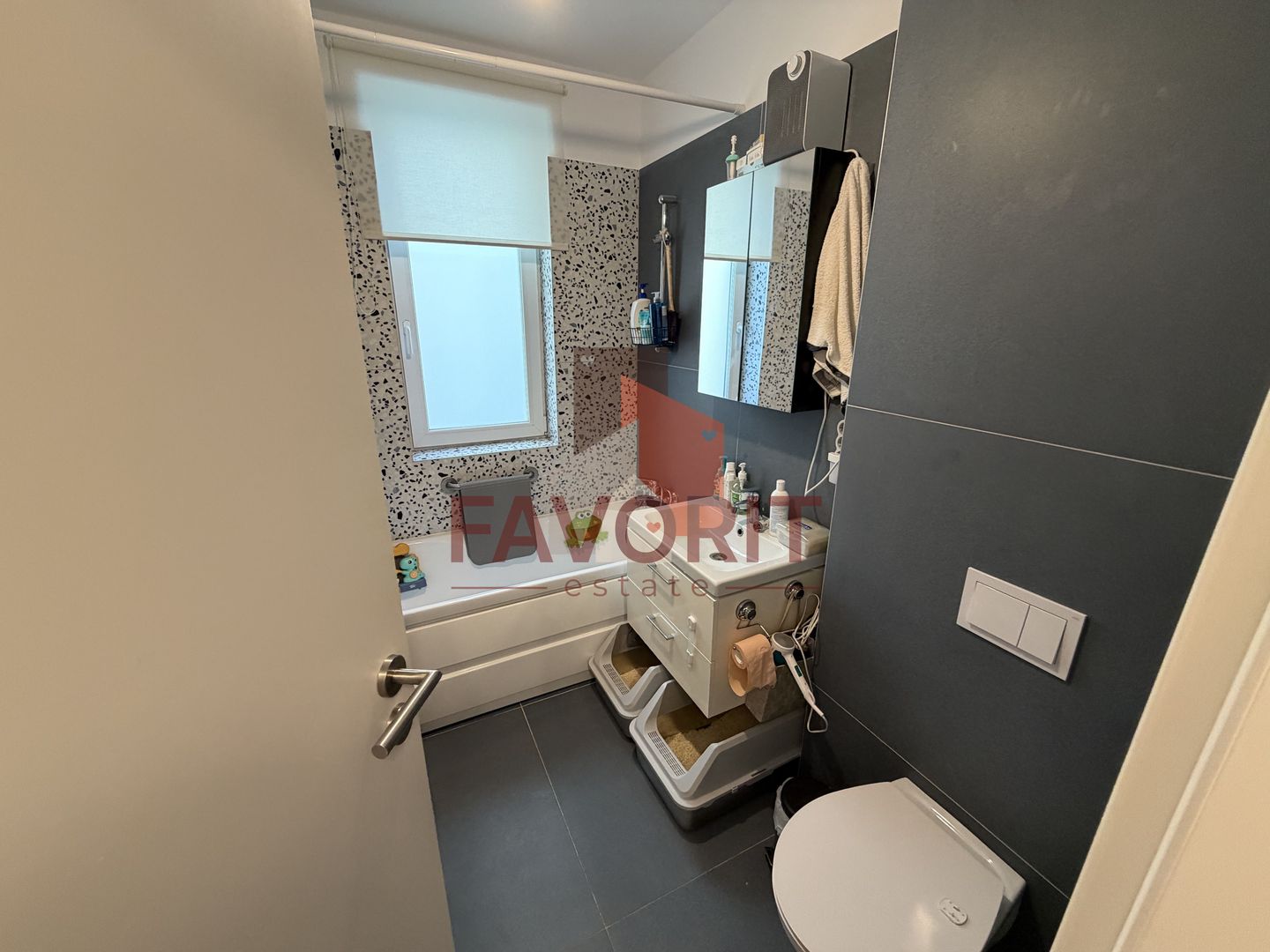 SAD. Pozitie excelenta. Gradina proprie. - Poză 14