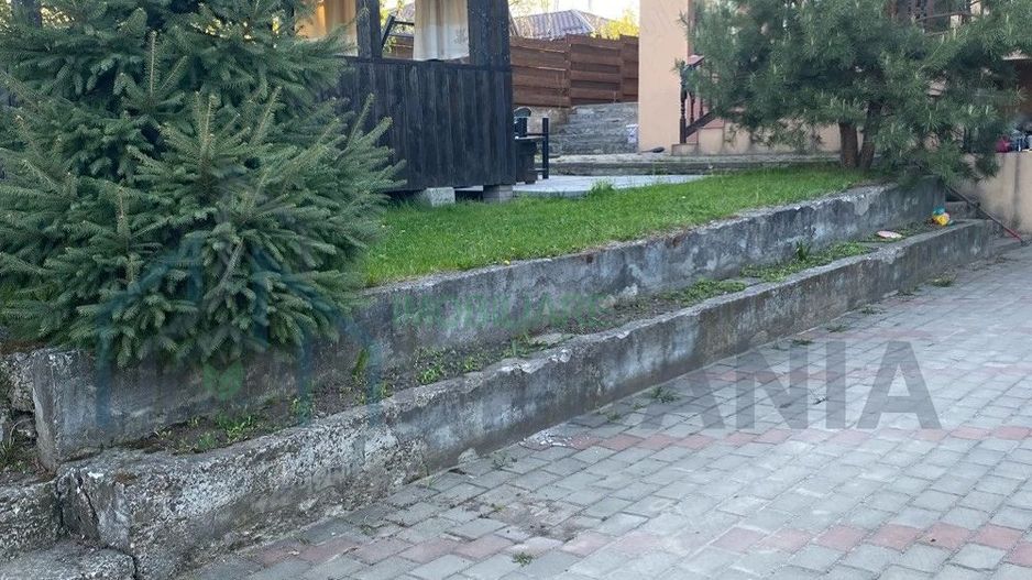Casă 250 mp, teren 1.050 mp, Vulturi, la 8 km de Copou - Poză 2