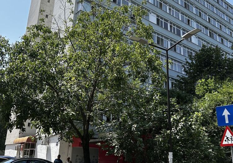 Apartament 3 camere de vânzare – Confort 1, decomandat – Brâncoveanu - Poză 2