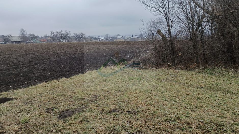 Teren intravilan Ilișești/Suceava - Poză 3