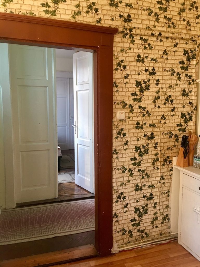 Casa cu apartamente si SAD -uri in zona Traian - Poză 18