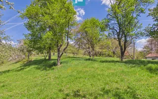 Proprietate rară cu 24.270 mp, în Măgulicea, Arad! - Poză 29