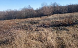 Teren extravilan | Vicovu de Jos | Preț 33.000 | Negociabil - Poză 4