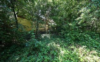 Casă spațioasă în centrul orașului Sfântu Gheorghe | Teren 1300 mp - Poză 12