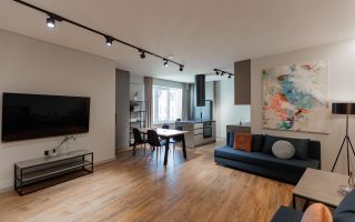 Chirie, apartament, 2 camere, str. Moara Roșie, Centru - Poză 4