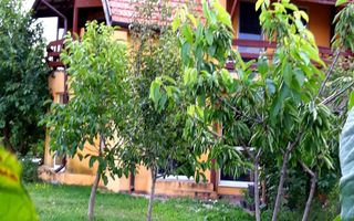 Loturi de teren pentru constructii de case in Paradise Valey - Poză 14