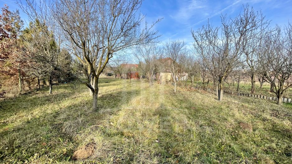 Teren intravilan 1.915 mp + cabană din lemn | Tocile – Sadu - Poză 2