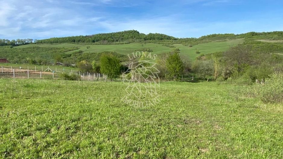 Teren 2160 mp - pretabil pentru cabana - investitie - Jelna - Poză 4