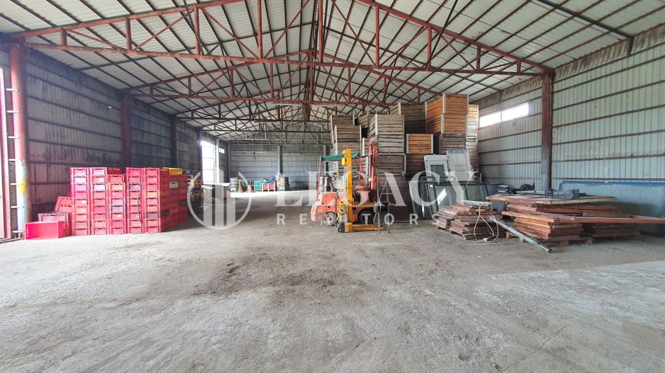 VÂNZARE - HALE DEPOZITARE/PRODUCȚIE/SERVICE AUTO ȘI TEREN - SULIȚA - Poză 5