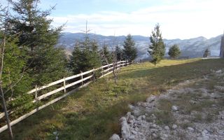 In locatia de basm: - Pestera, Moieciu, Brasov, utilitati, accesibilitate - Poză 18