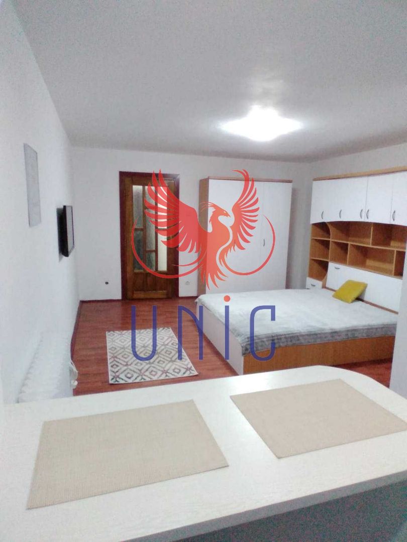 Garsoniera Brazda lui Novac, parter - 65 000 Euro - Poză 1