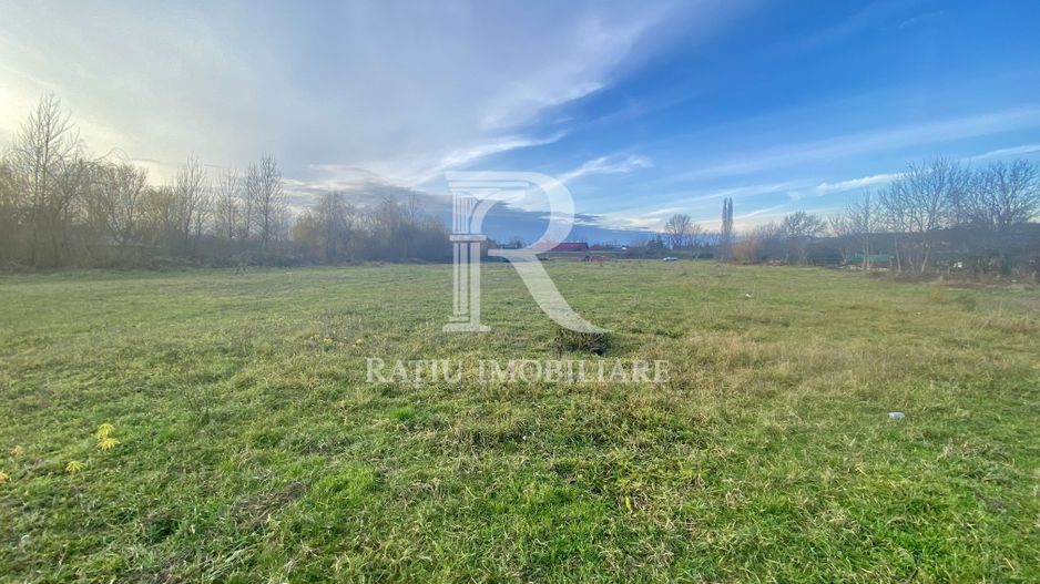 EXCLUSIV | TEREN INTRAVILAN | INVESTIȚIE | BEIUȘ – STR. PLOPILOR | 13.500 MP - Poză 6