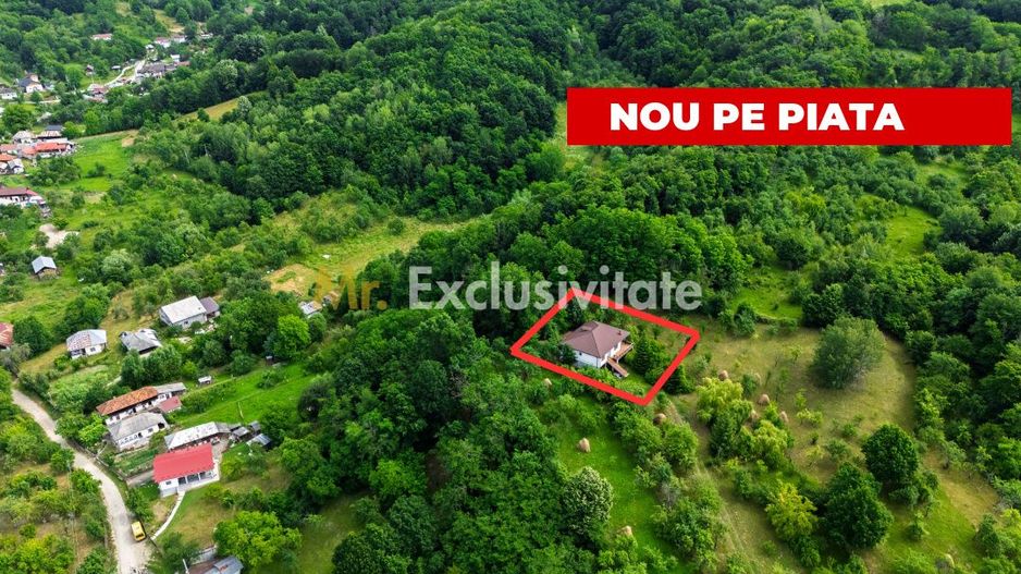 Proprietate de poveste în Corbi, Argeș - Doua case si 6300 mp teren intravilan - Poză 1