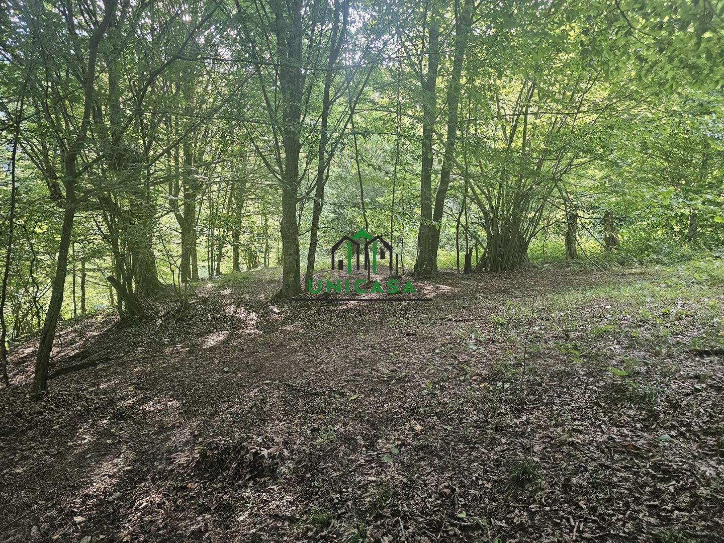 Teren extravilan  cu potential turistic - Brezoi - Poză 5