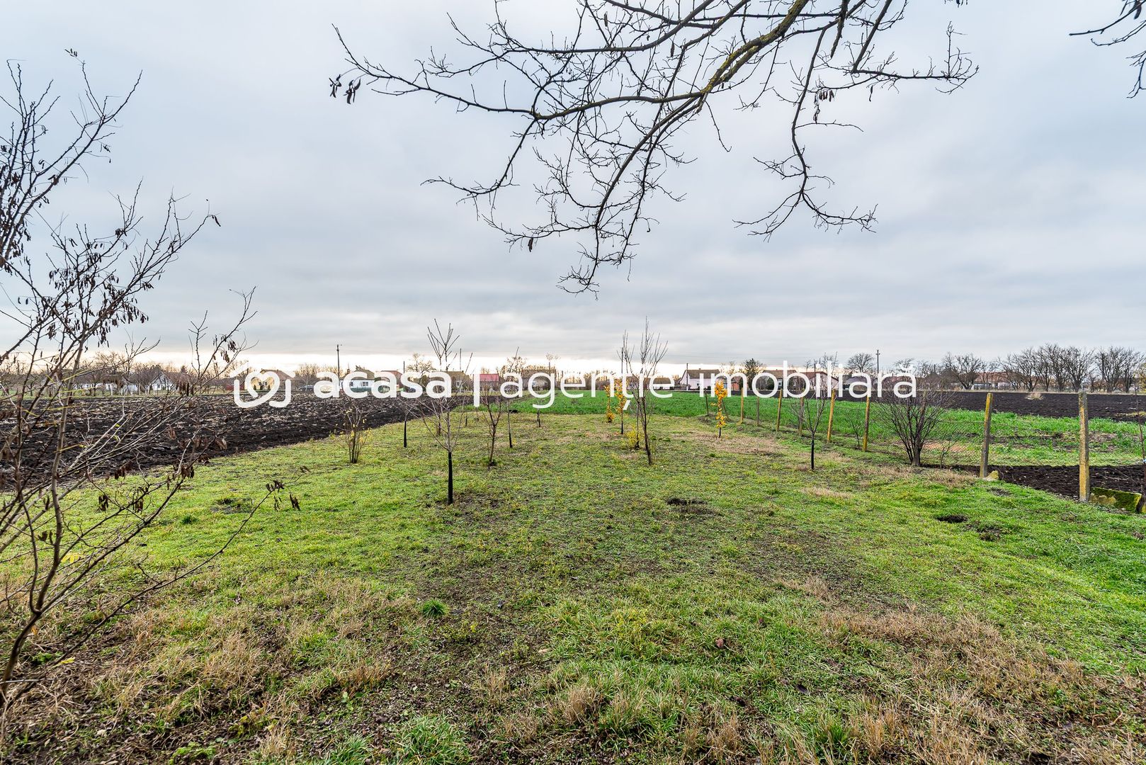 Casă + livadă tânără + curte 2.500 mp în Dorobanți - Poză 3