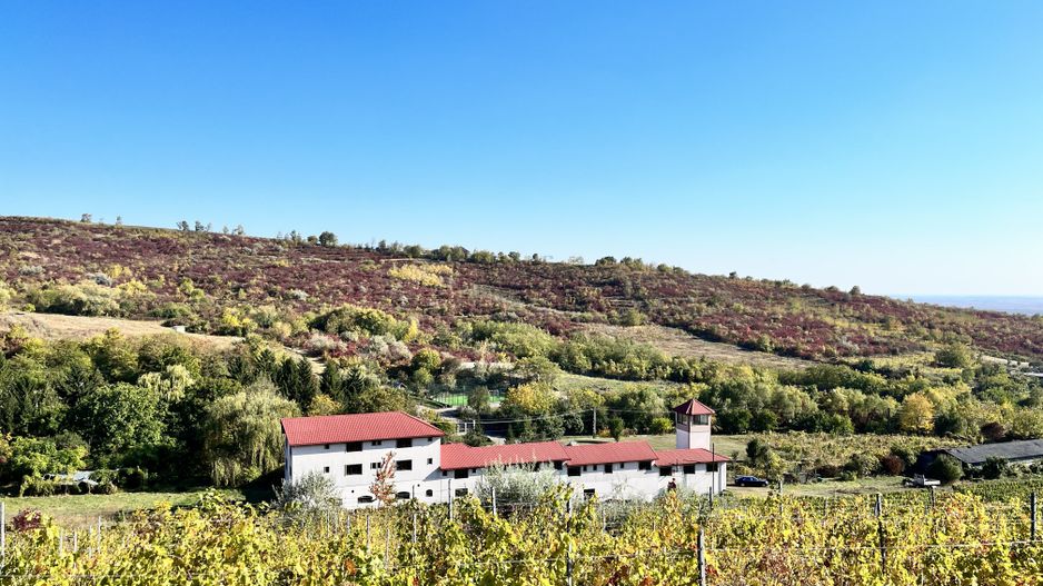 14Ha podgorie, livada pomi fructiferi, si conac 3000mp - Poză 7