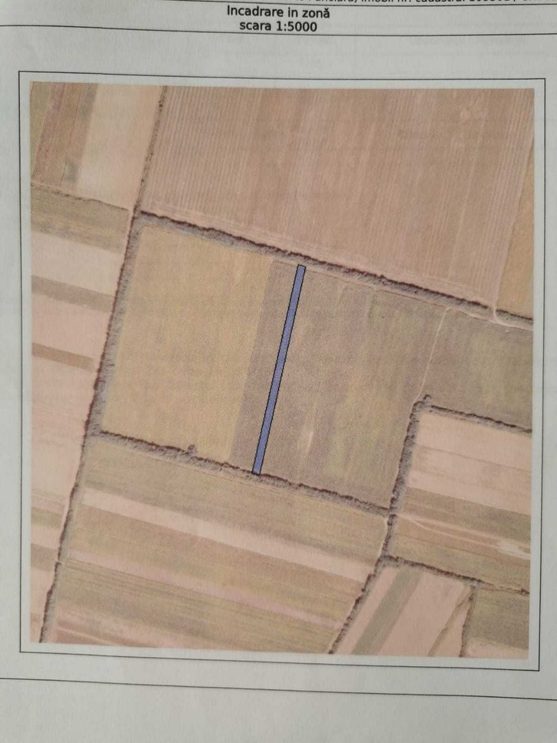 Teren arabil si padure de vanzare - Poză 3