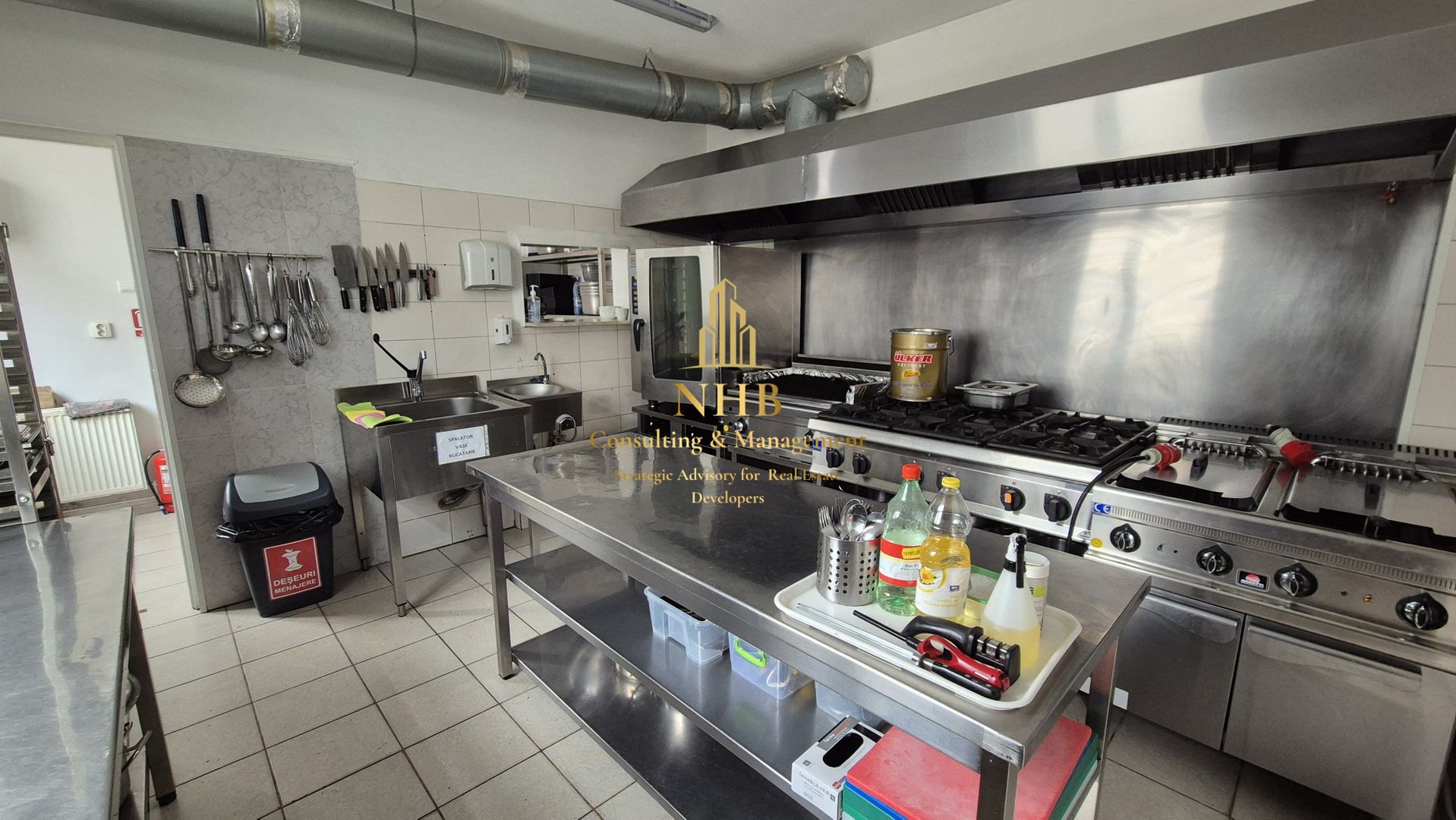 Spațiu Comercial de Vânzare în Domenii – 14 Camere, 351 mp Teren - Poză 1