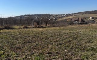 Teren intravilan Săldăbagiu De Munte - Poză 6