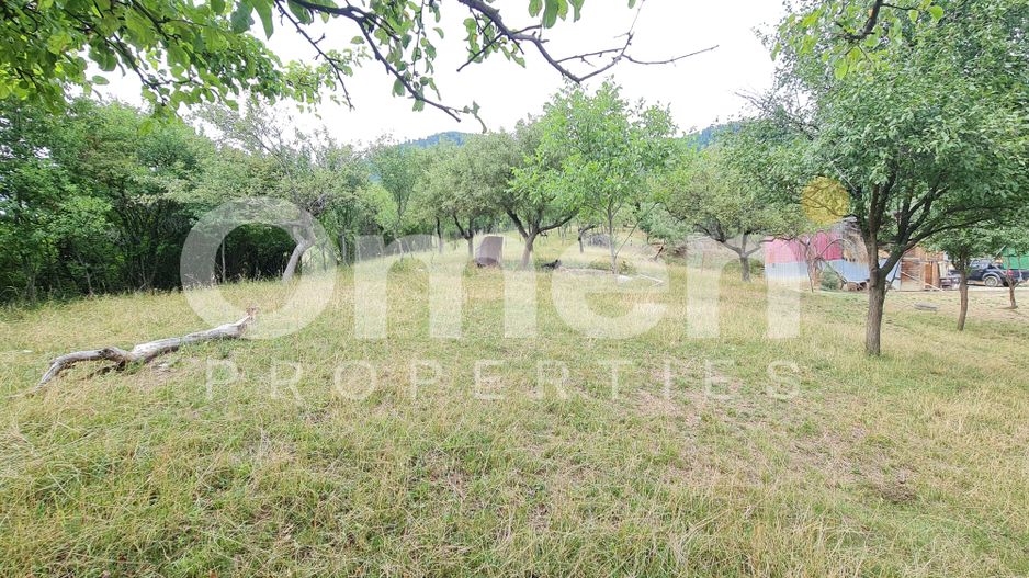 Teren de vânzare | Suprafață 10.040 mp | 2.500 € / ar | Strada Nucului - Poză 3