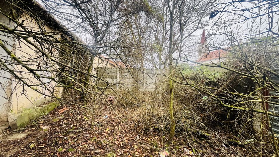 Casă cu teren de 1.463 mp în Ghizela, Timiș – Comision 0% - Poză 4