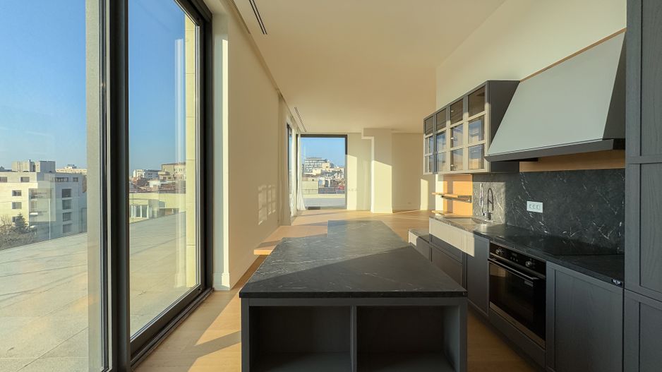 Penthouse Vedere Exceptionala | Dumbrava Rosie | Gradina Icoanei - Poză 10