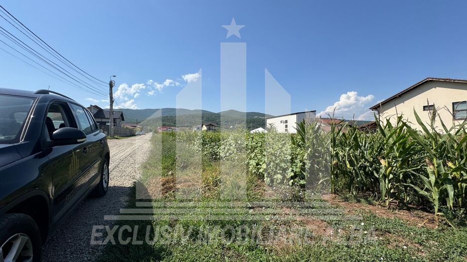 Teren intravilan | De vanzare | 5000 mp | 150 ml deschidere | Micesti - Poză 6