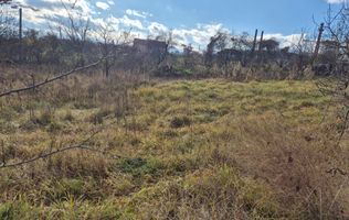 TEREN INTRAVILAN 503 MP – ZONA CASTELUL CORVIN / HOTEL WERK – 10.900 €