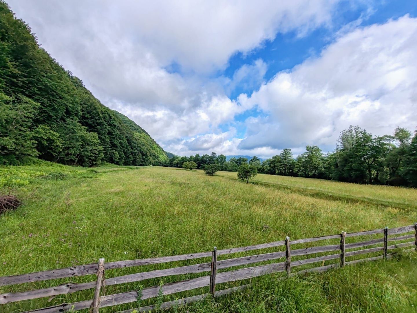 2,8 Ha Teren Extravilan cu Pârâu - Negreni, Cluj - Poză 11