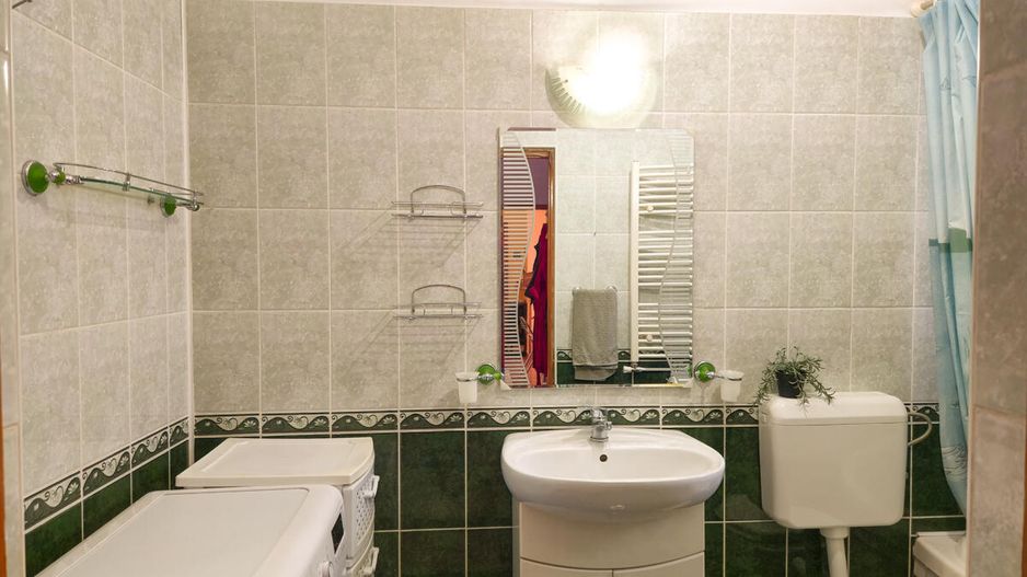 Lunei - Ion Neculce, 2 Apartamente. Mansarda 157 mp. Anexe, Lot 475 mp - Poză 12