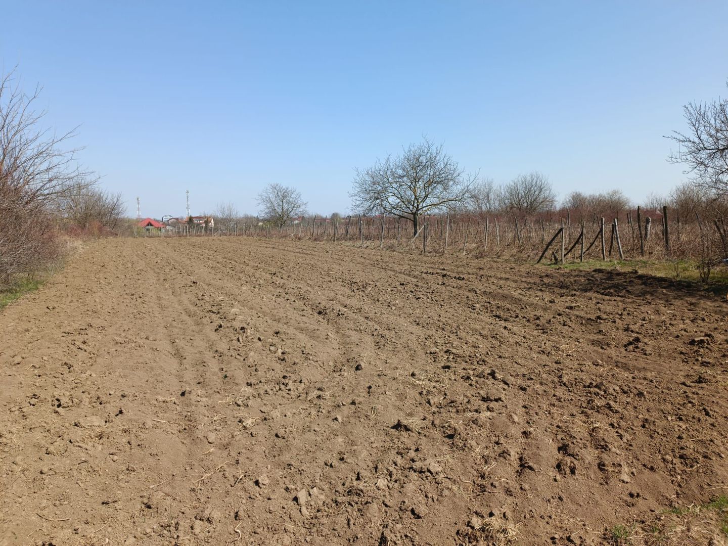 Teren extravilan 2400 mp in Afumati - Poză 2