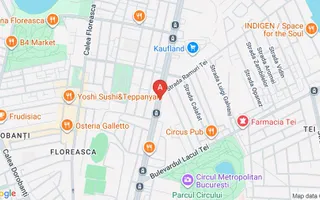 Apartament Lux 2 Camere | THE ADDRESS | Parcare Inclusa - Poză 12