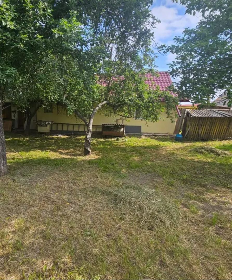 Proprietate in Pastraveni,Neamt cu teren de 1600mp, comision zero - Poză 3