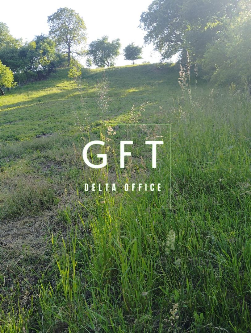 Teren intravilan-40 ari, parcelabil, loc. Slatinita - Poză 5