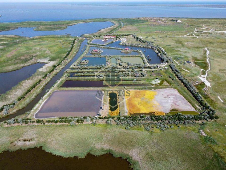 Oportunitate investitie teren Delta Dunarii, pe malul Lacului Histria - Poză 3