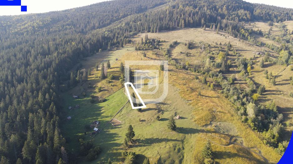 Teren situat in Frasin | BUCOVINA - Poză 7