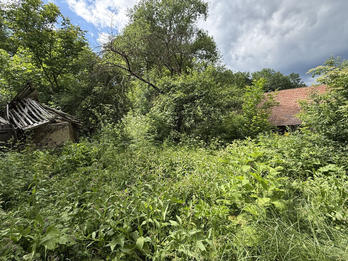 Teren intravilan 683 mp deschidere la strada asfaltata ! - Poză 17