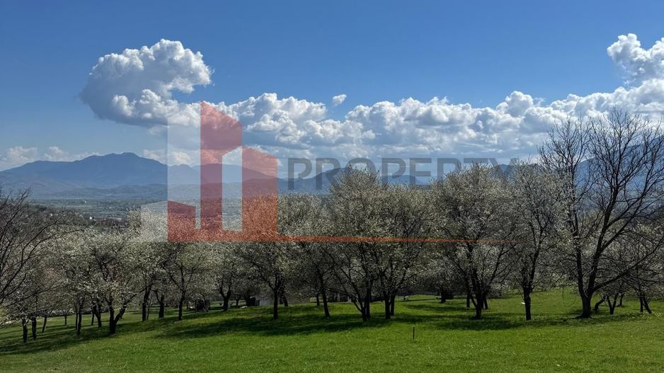 Terenuri Bran - Predelut  Priveliște către Bucegi și Postăvaru - Poză 16