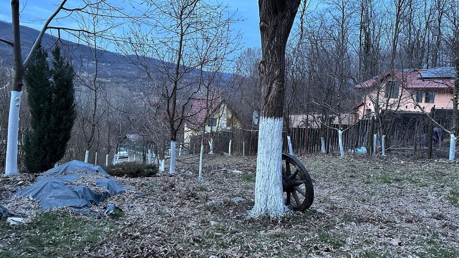 Spre vanzare cabana+ teren intravilan 1050mp-zona Pausesti Maglasi - Poză 11