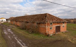 Fermă cu teren intravilan de 35000 mp în Mișca - Poză 22