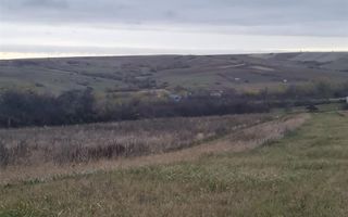 Teren Cetariu 9900 mp - Poză 6