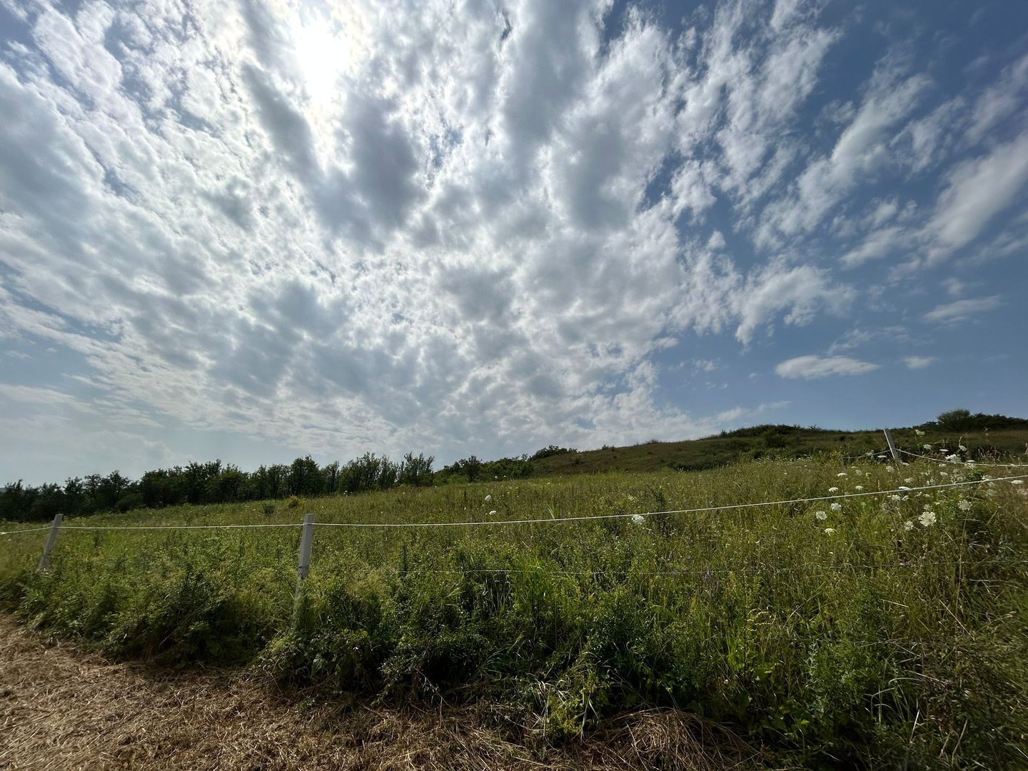 Teren intravilan , localitatea Rascruci ( Cluj) - Poză 4