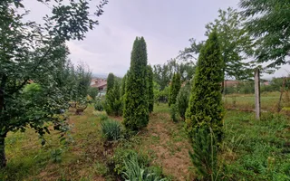 Casa individuala | 1 nivel | 140 mp | 2000 mp de teren | Ciugud - Poză 11