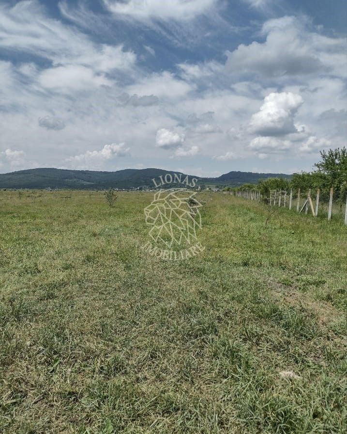 Teren 23700 mp (2,37 ha)-ideal investitie,cabana-Sesul Jelnei - Poză 1