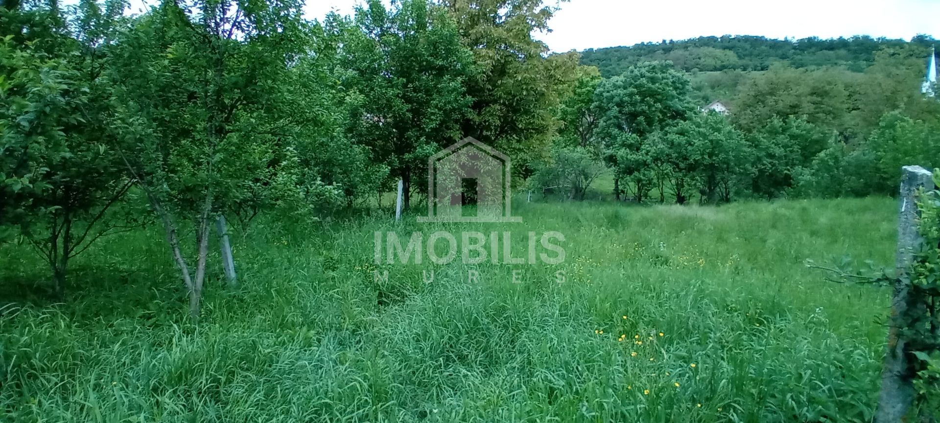 Teren intravilan | Budiu Mic | 994 mp - Poză 1