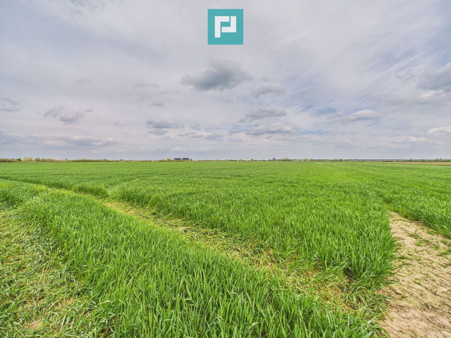 Teren extravilan 19.900 mp – Giroc centură - Poză 4