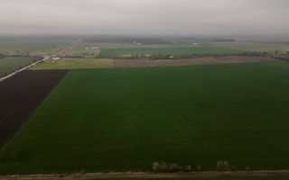 Teren 84000 mp la 20 km de Arad, la DN79 - Poză 2
